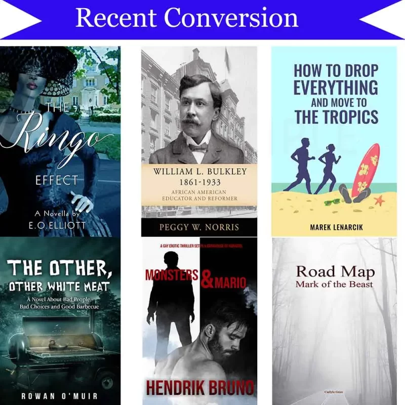 Archivos recientes de formato Kindle
