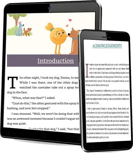 What is Epub Conversion and Formatting?