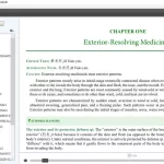 Muestra 2 de ePub en chino
