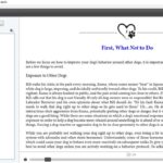 Formato de diseño complejo para ePub Muestra 20
