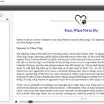 Complex Layout Formatting for EPub Sample 20