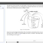 Complex Layout Formatting for EPub Sample 25