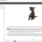 Títulos de capítulos y otros estilos - Ejemplos de libros electrónicos 18